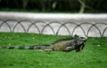 Galapagos listopad 2011