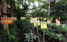 Galapagos listopad 2011