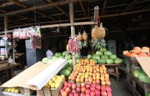 Galapagos listopad 2011