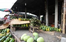 Galapagos listopad 2011