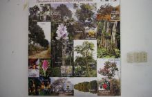 Galapagos listopad 2011