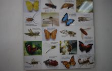 Galapagos listopad 2011