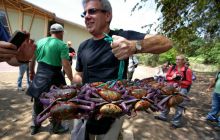 Galapagos listopad 2011
