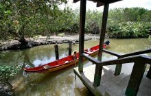 Galapagos listopad 2011