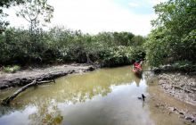 Galapagos listopad 2011