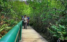 Galapagos listopad 2011