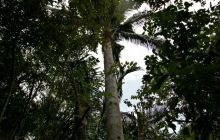 Galapagos listopad 2011