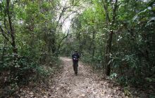 Galapagos listopad 2011