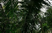 Galapagos listopad 2011