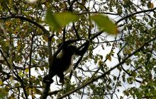 Galapagos listopad 2011