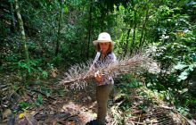 Galapagos listopad 2011