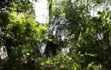 Galapagos listopad 2011