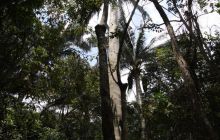 Galapagos listopad 2011