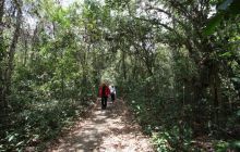 Galapagos listopad 2011