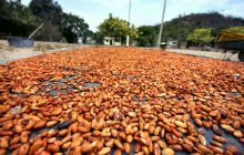 Galapagos listopad 2011