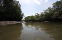 Galapagos listopad 2011