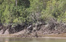 Galapagos listopad 2011