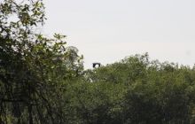 Galapagos listopad 2011