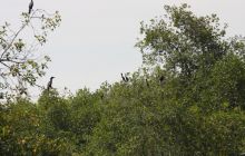 Galapagos listopad 2011