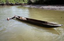 Galapagos listopad 2011