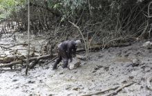 Galapagos listopad 2011