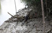 Galapagos listopad 2011