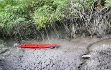 Galapagos listopad 2011