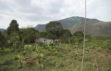 Galapagos listopad 2011