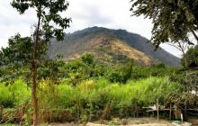 Galapagos listopad 2011