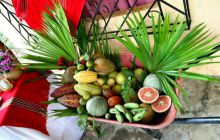 Galapagos listopad 2011