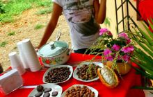 Galapagos listopad 2011