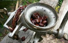 Galapagos listopad 2011