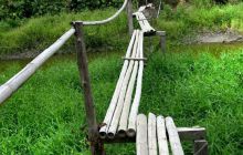 Galapagos listopad 2011