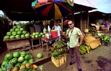 Galapagos listopad 2011