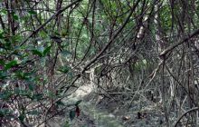 Galapagos listopad 2011