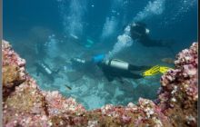 Galapagos listopad 2011