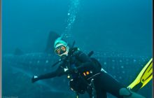 Galapagos listopad 2011