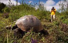 Galapagos listopad 2011