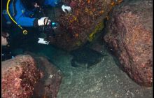 Galapagos listopad 2011