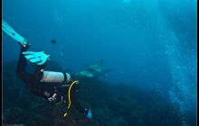 Galapagos listopad 2011