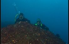 Galapagos listopad 2011