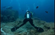 Galapagos listopad 2011