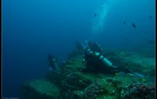 Galapagos listopad 2011