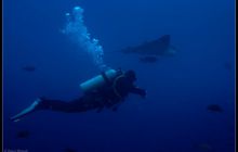 Galapagos listopad 2011