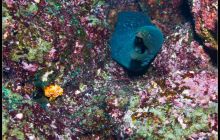 Galapagos listopad 2011