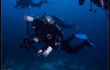 Galapagos listopad 2011