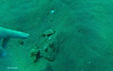 Egipt Dahab - październik 2006