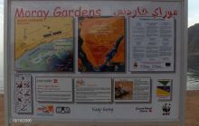 Egipt Dahab - październik 2006