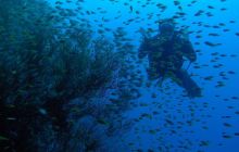 Egipt Dahab - październik 2006