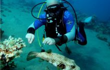 Egipt Dahab - październik 2006